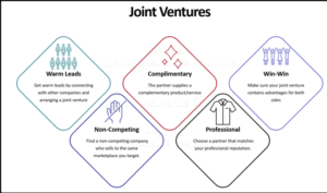 Global Strategy And Sustainability Assignment Sample Benefits of Joint Venture