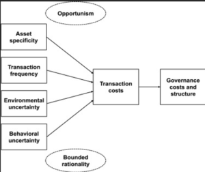 Zara Management Consultancy Report Assignment Sample Transaction Cost Model