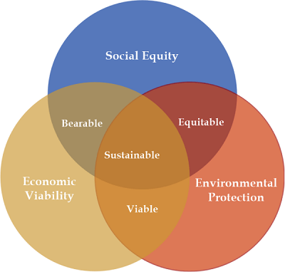 A PROFESSIONAL PERSPECTIVE ON SUSTAINABILITY