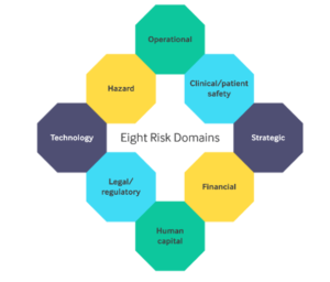 7033MHR Risk Governance and Patient Safety Risk domains in the healthcare industries.