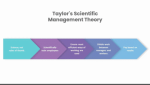 Cross-Management Portfolio Taylor’s scientific management theory