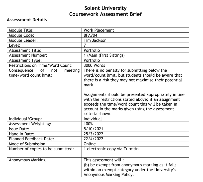 BFA704 Work Placement Assignment Sample 2024