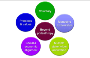 Evaluation Of CSR Management and Practices core characteristics of csr