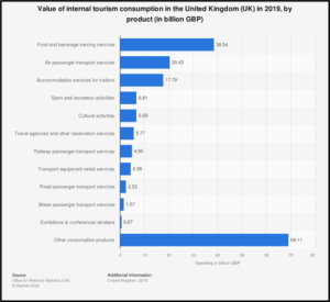 974N1 Business Analysis and Consulting Sample