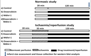 The Effects Of Combinational Therapy 