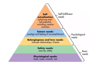 HRM Assessment Guide