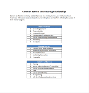 Mentoring Report