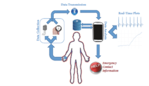 CI7000 PROJECT DISSERTATION